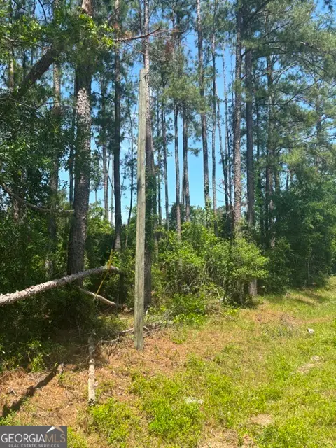 0 Stoney Brook Way, Reidsville, GA 30453 - Image #2