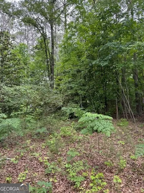 1829 Detroit Avenue, Atlanta, GA 30314 - Image #2