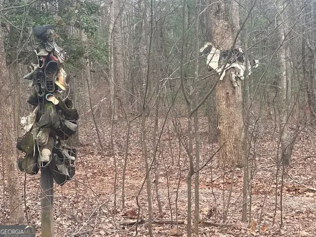 38 &51 Mountain Crest Road, Dawsonville, GA 30534 - #1