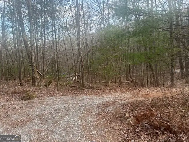 38 &51 Mountain Crest Road, Dawsonville, GA 30534 - #3