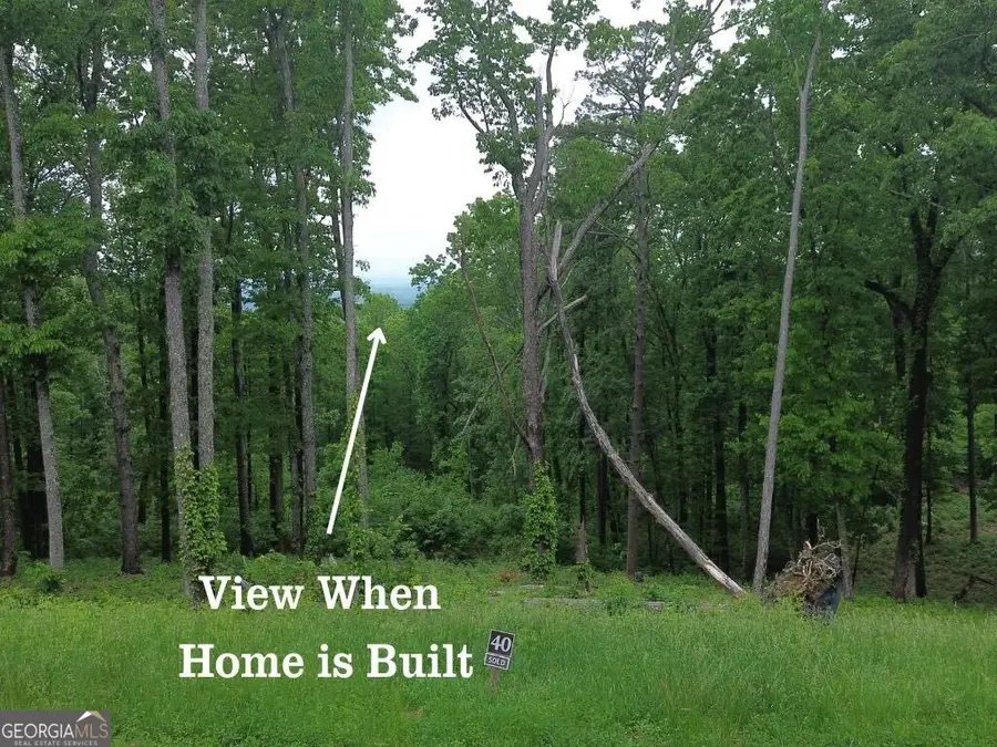 40 High Summit Drive, Talking Rock, GA 30175 - Image #2