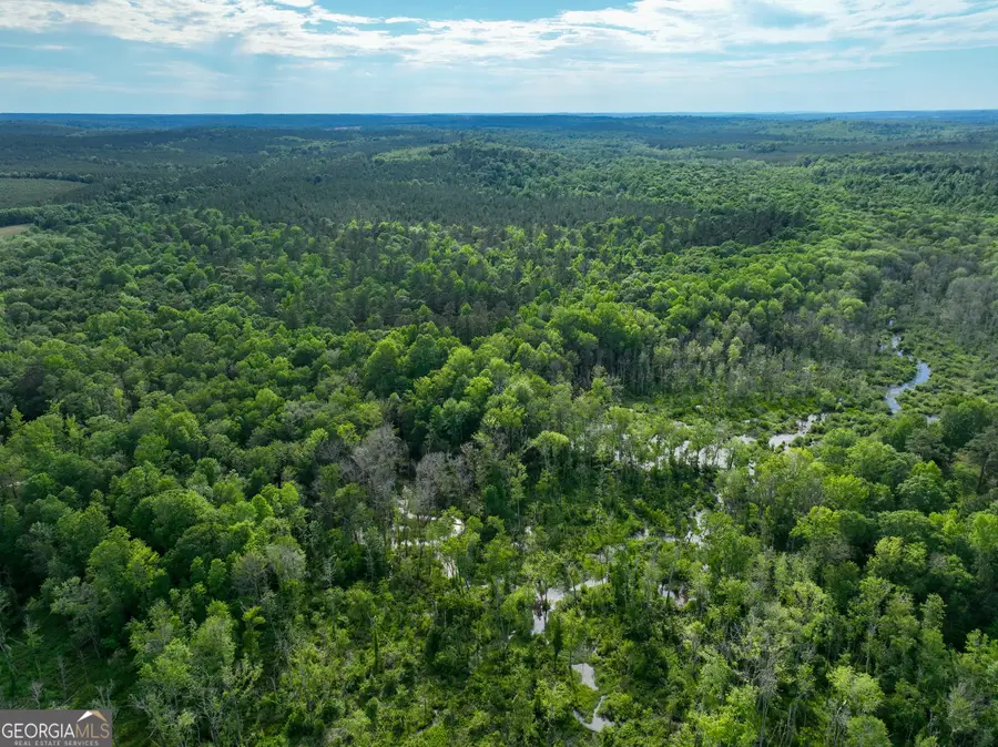 6620 Jr Sims Road, Irwinton, GA 31042 - Image #2