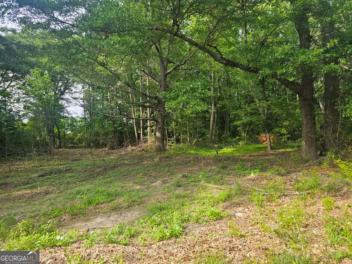 4492 Long Street, Powder Springs, GA 30127 - #1