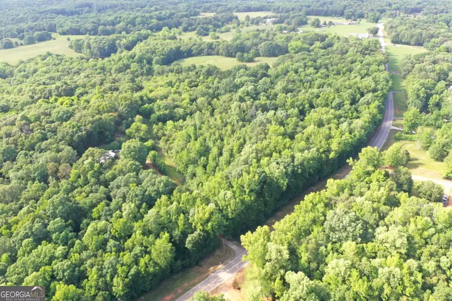 0 Highway 29 N #A, Danielsville, GA 30633 - Image #3