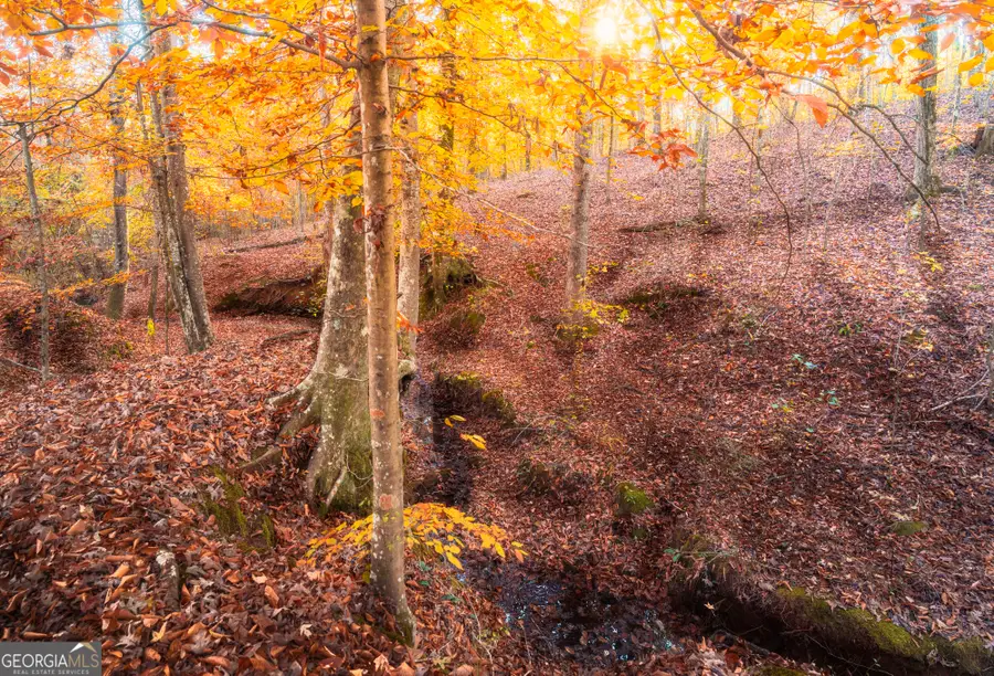 0 Pine Grove Church Road #LOT 1, Culloden, GA 31016 - Image #2