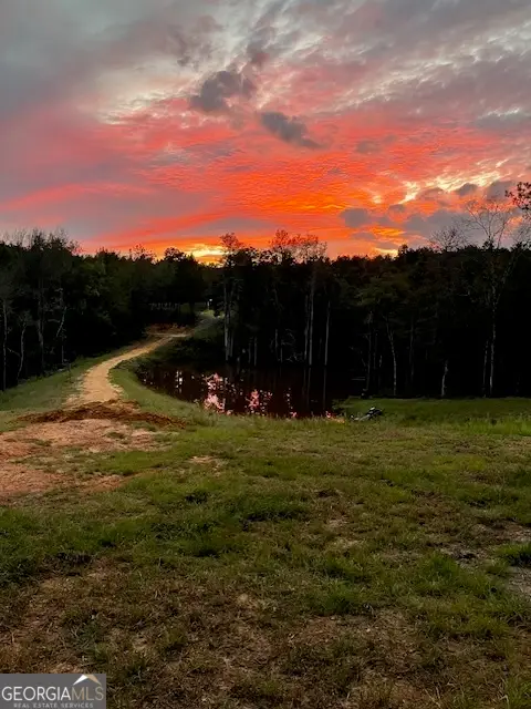 683 Union Church Road, Morris, GA 39867 - Image #2