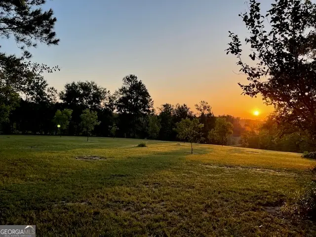 683 Union Church Road, Morris, GA 39867 - Image #3