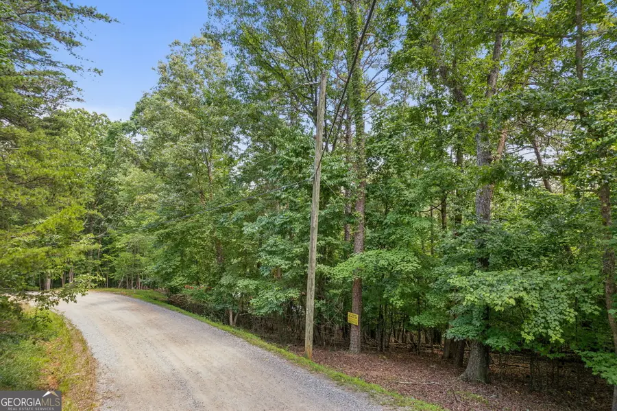 0 Alcan Way, Ellijay, GA 30540 - #2