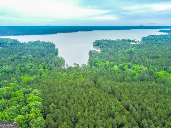 1078 Chennault Drive, Tignall, GA 30668