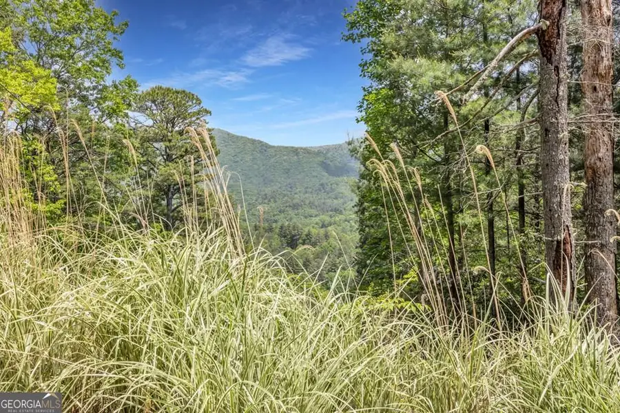 376 Eagles Rest, Blairsville, GA 30512 - #2