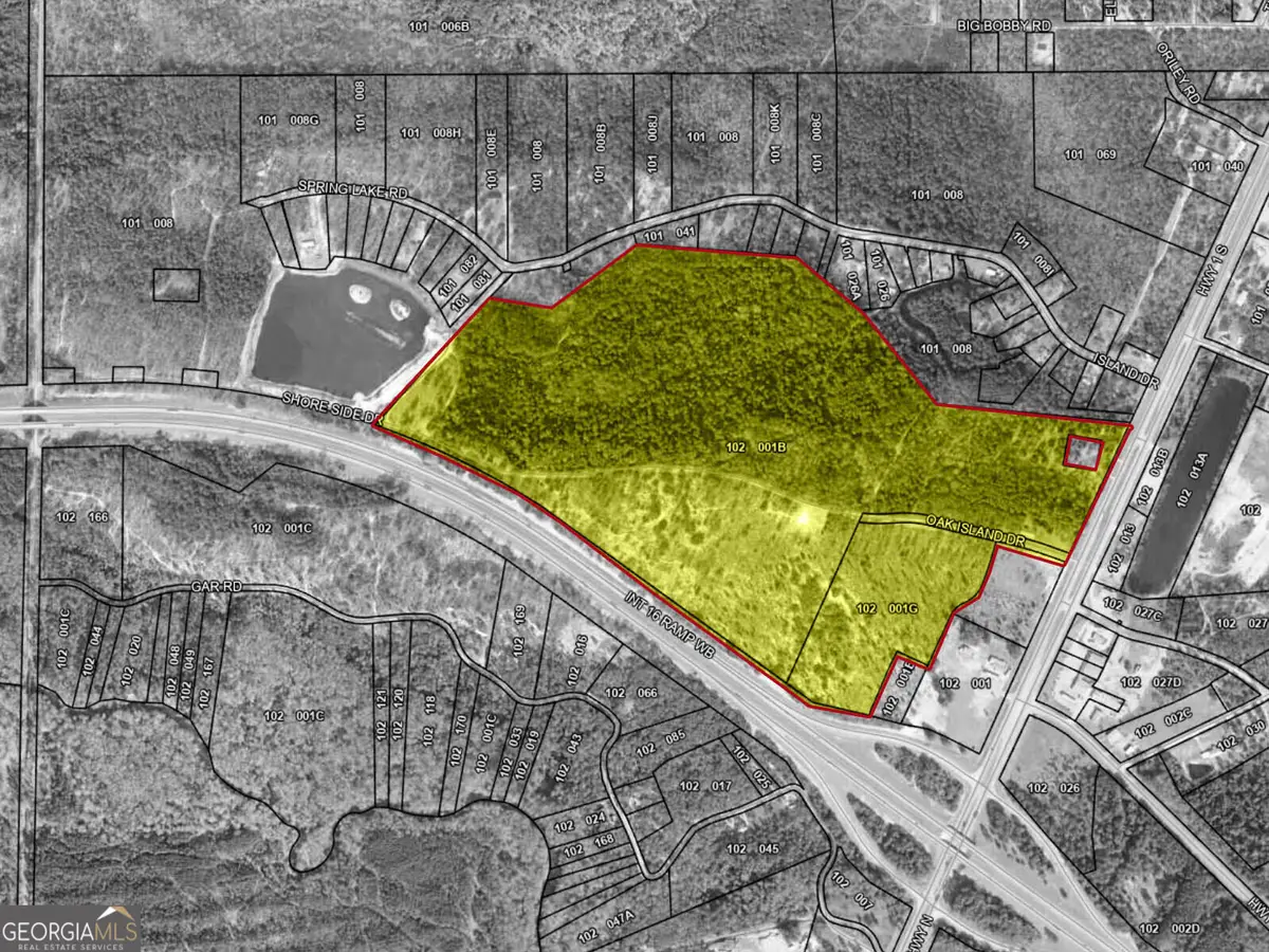 0 Us Highway 1, Cedar Crossing, GA 30401 - Image #1