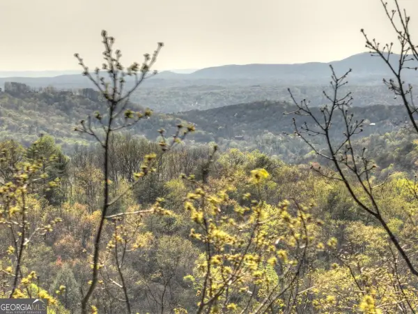 LOT 4 Wilderness Way, Ellijay, GA 30536