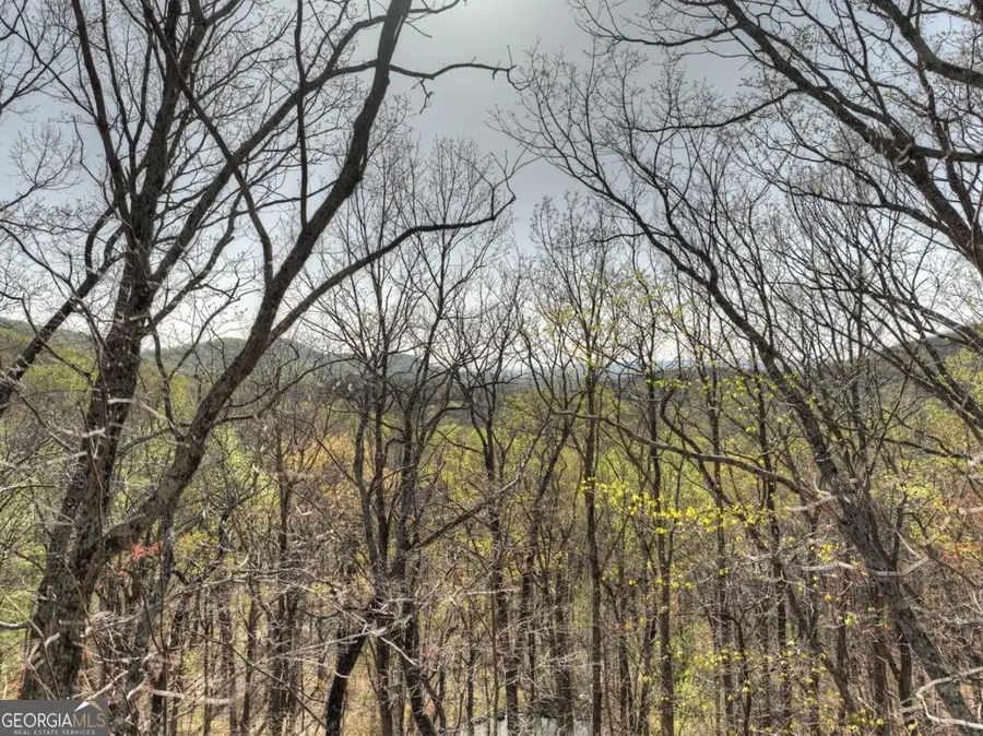 LOT 4 Wilderness Way, Ellijay, GA 30536 - Image #3
