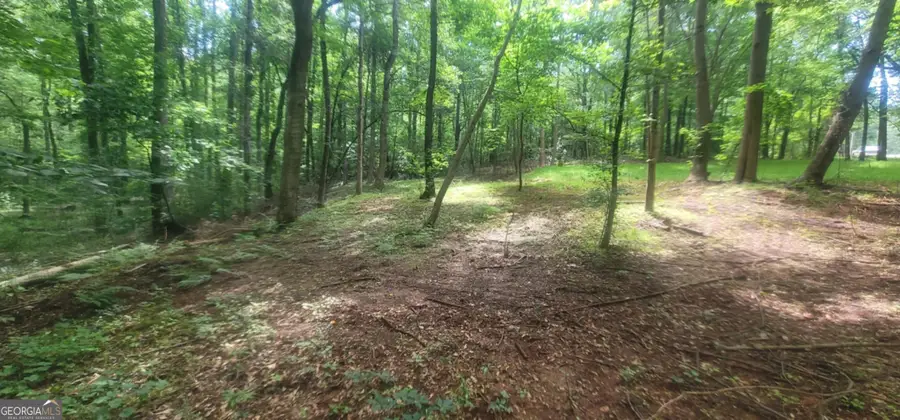 121 Pinedale Circle, Griffin, GA 30224 - Image #3