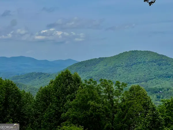 M164 Walnut Ridge, Ellijay, GA 30536