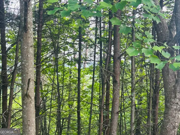 LOT 30 Crown Mountain Way, Dahlonega, GA 30533