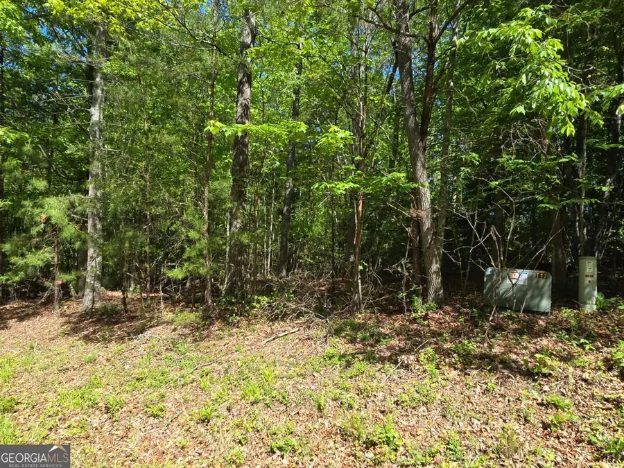 TRACT 4A Garland Lane, Young Harris, GA 30582 - Image #2