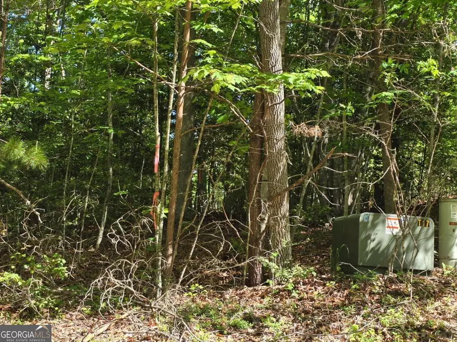 TRACT 4A Garland Lane, Young Harris, GA 30582 - Image #3