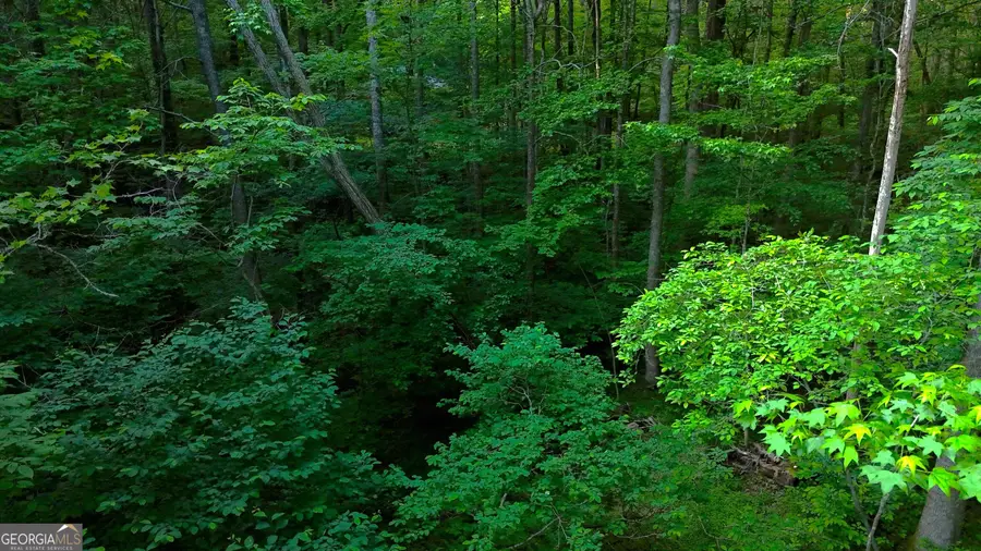 0 Nocona Trail, Ellijay, GA 30536 - Image #3