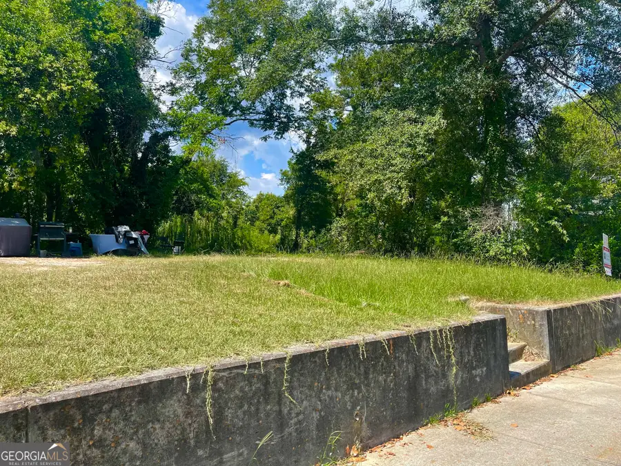 254 Forest Avenue, Macon, GA 31201 - Image #2