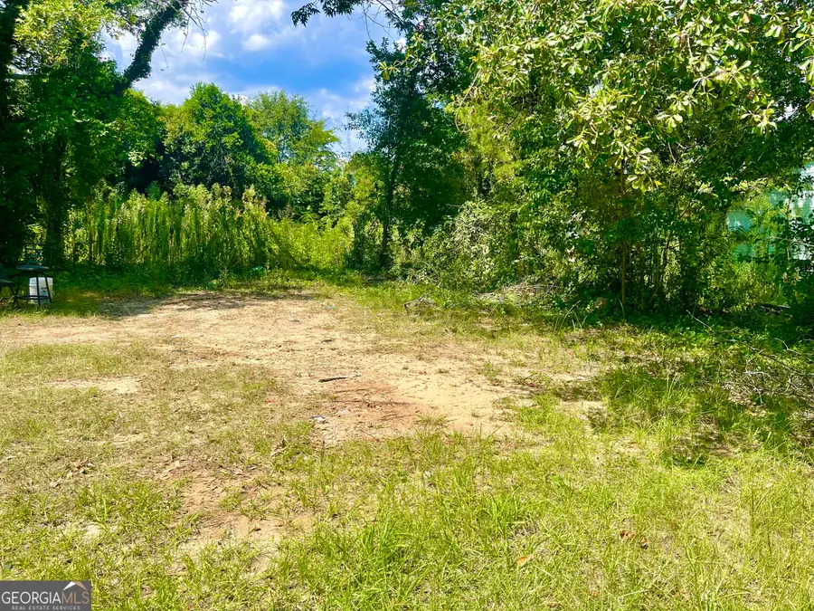 254 Forest Avenue, Macon, GA 31201 - Image #3