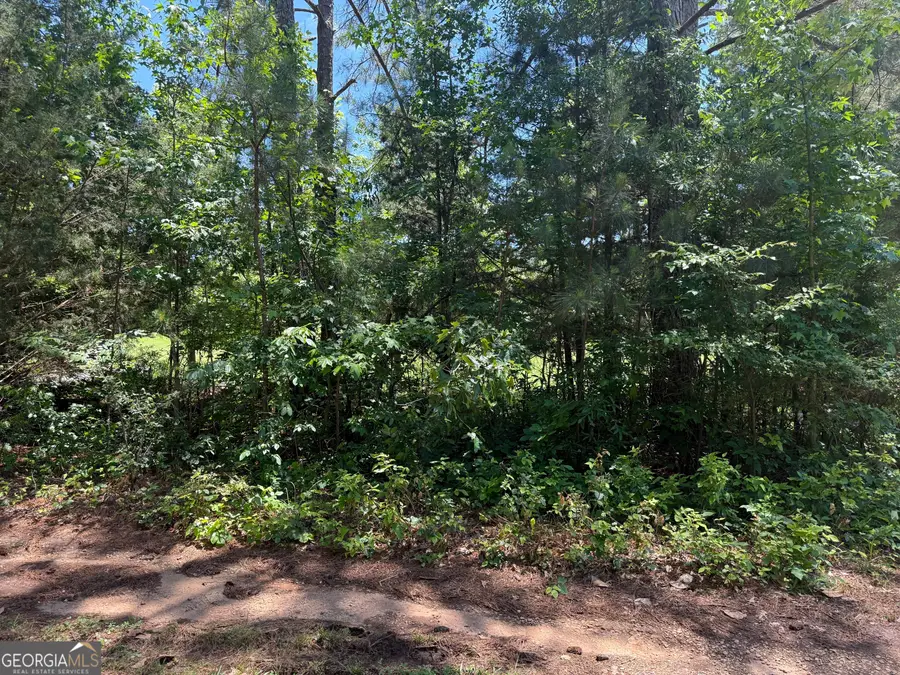 5565 Mason Road #REAR, South Fulton, GA 30349 - #2