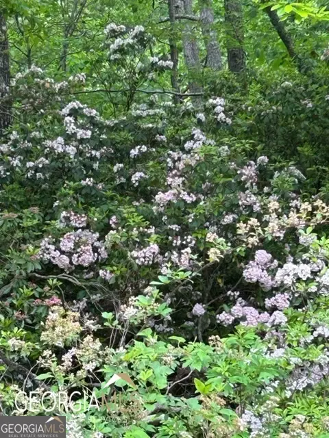 0 Ivy Ridge, Clayton, GA 30525 - Image #2