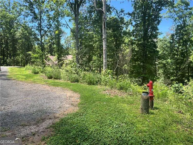 75 Hope Court, Ellijay, GA 30540 - Image #2