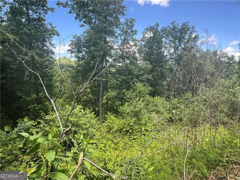 75 Hope Court, Ellijay, GA 30540 - Image #3