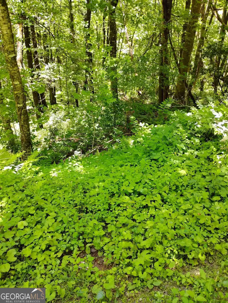 0 Labelle Circle #LOT 92, Sky Valley, GA 30537 - Image #3