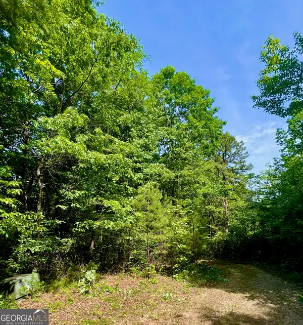 0 Bluff Mtn, Dillard, GA 30537