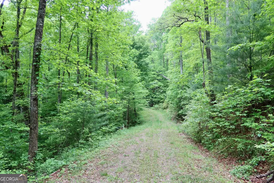 0 Bluff Mtn, Dillard, GA 30537 - Image #2
