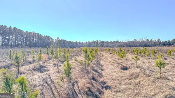 0 Rl Lee Road #8, Statesboro, GA 30461