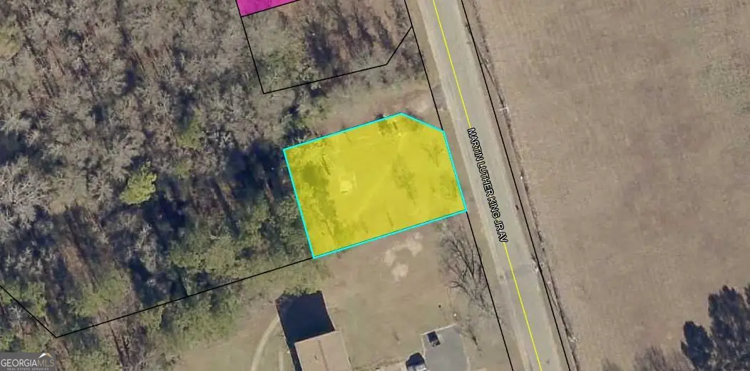 704 Mlk Jr Avenue, Sandersville, GA 31082 - Image #1