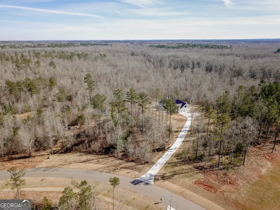 146 Starlight Drive, Senoia, GA 30276 - Image #2