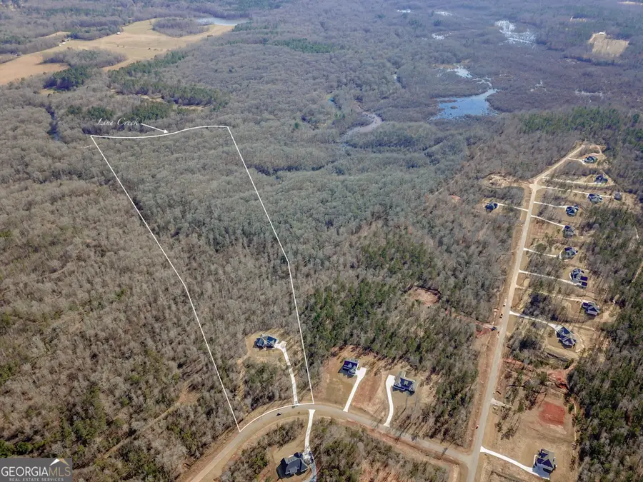 146 Starlight Drive, Senoia, GA 30276 - Image #3