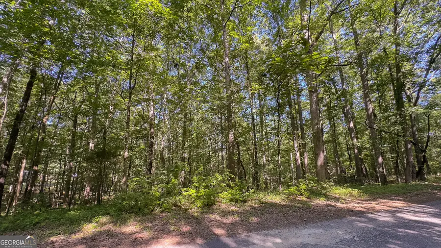 0 Timberline North, Waverly Hall, GA 31831 - Image #3