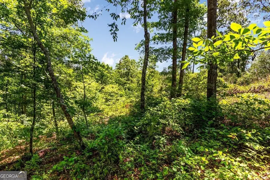 LT160 Shallow Water Trail, Talking Rock, GA 30175 - Image #2