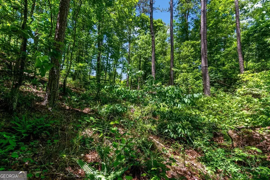 LT160 Shallow Water Trail, Talking Rock, GA 30175 - Image #3