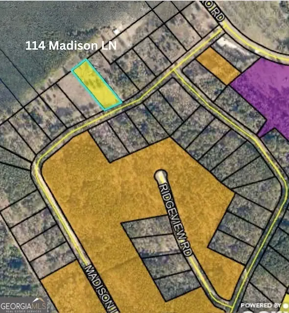 114 Madison Lane, Warthen, GA 31094 - Image #1