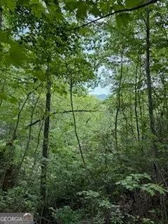 LOT SM4 Raven Fork Trail, Dillard, GA 30537 - Image #1