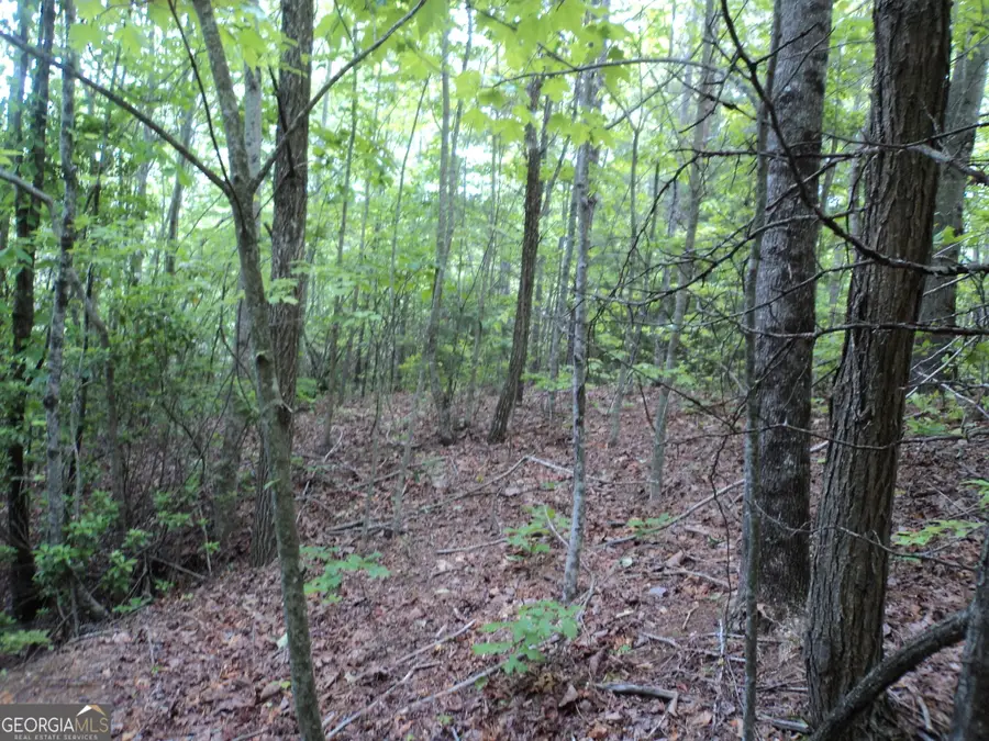 LOT SM4 Raven Fork Trail, Dillard, GA 30537 - Image #2