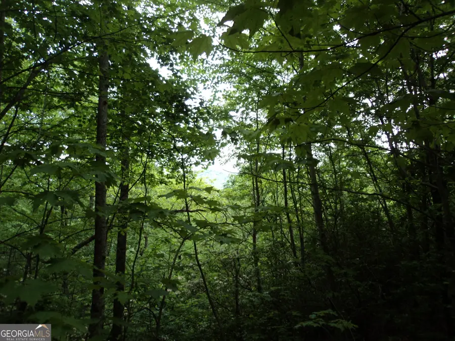 LOT SM4 Raven Fork Trail, Dillard, GA 30537 - Image #3