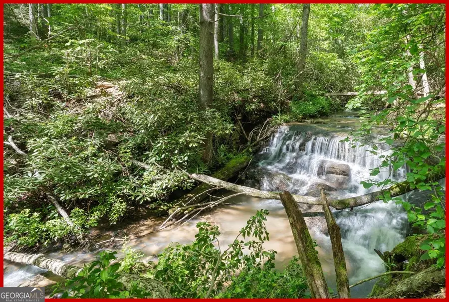 8378 Dillard Road, Flats, NC 28775 - Image #3