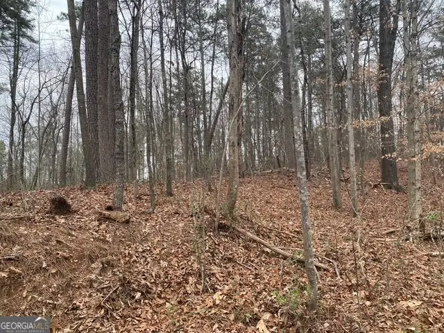 49 Lake Top Drive Se, Cartersville, GA 30121 - Image #3