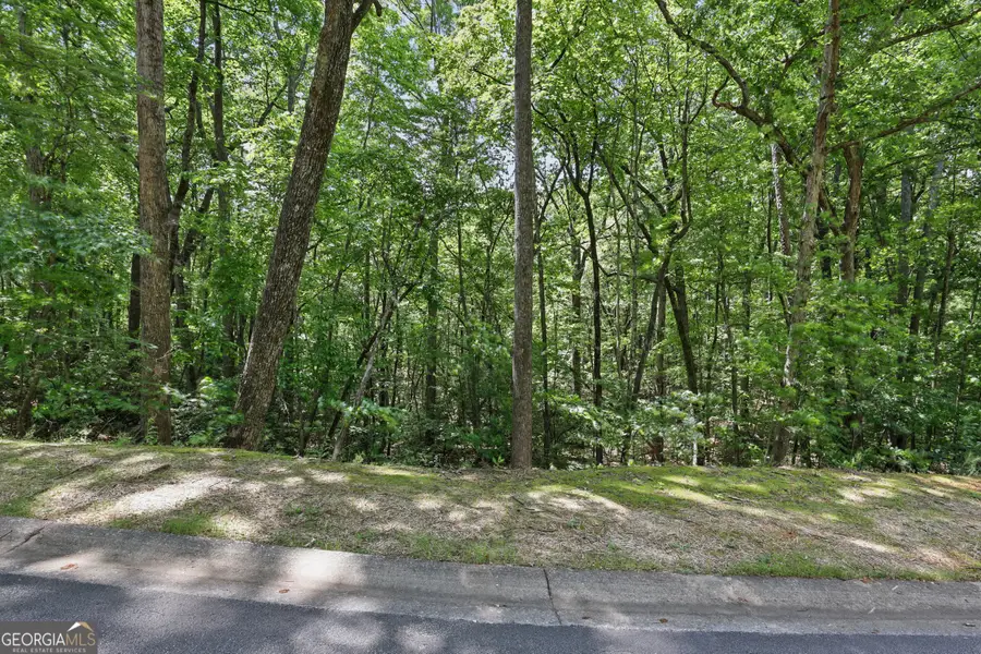 0 Plum Lane #LT 53, Clarkesville, GA 30523 - #3