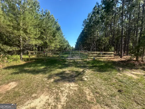 0 Dorsey Clark Road, Sylvania, GA 30467