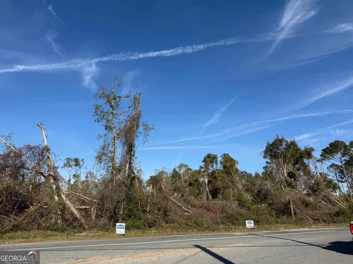 0 Old Graham Road, Hazlehurst, GA 31539 - Image #1