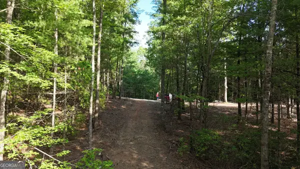 TR 2 East New Hope Road, Ellijay, GA 30536