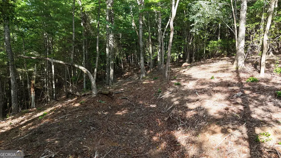 TR 2 East New Hope Road, Ellijay, GA 30536 - Image #2